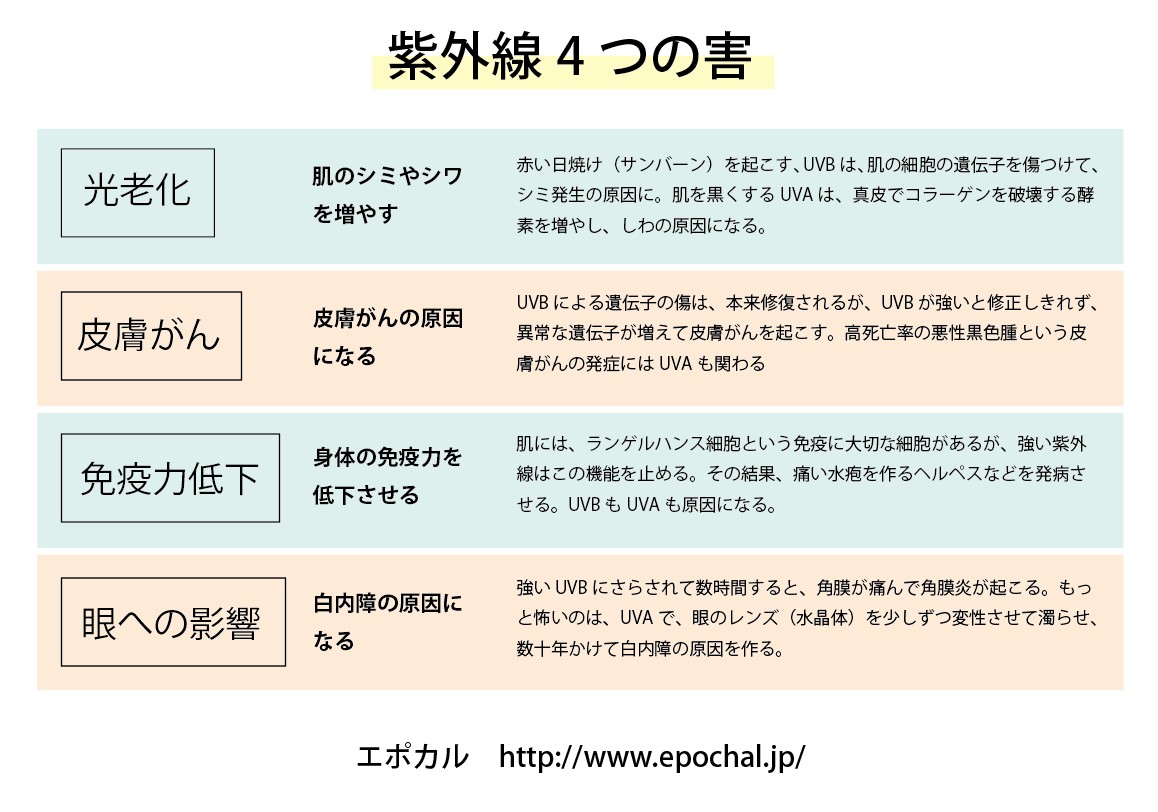 紫外線の4つの害
