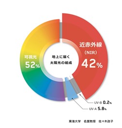 光老化への新たなアプローチ：EPOCHALの新技術が目指す理想の肌保護