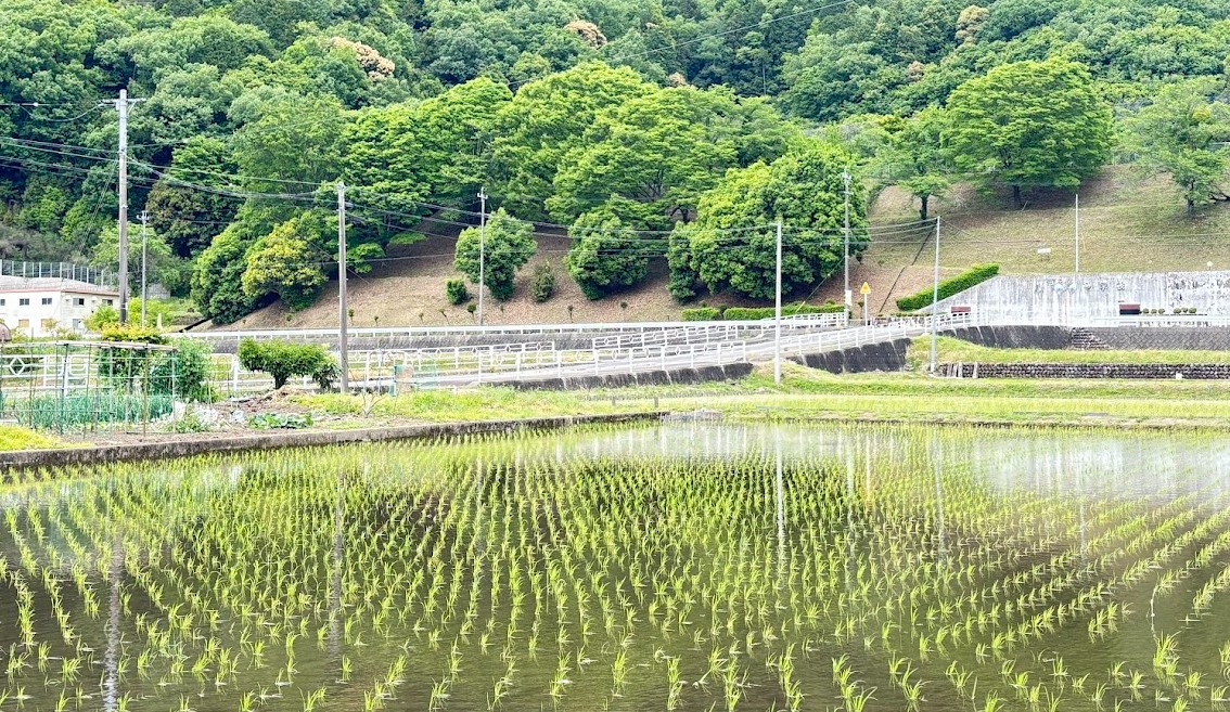 岐阜の秘境 大自然