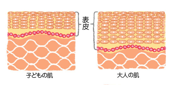 赤ちゃんの肌と大人の肌の違い エポカル